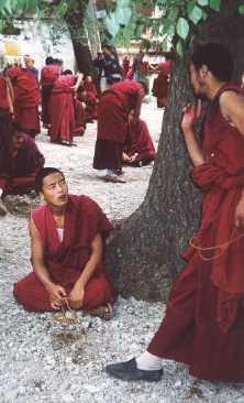 sera_monks.jpg